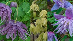 Супер Посылка с княжиками из Опт-хоз