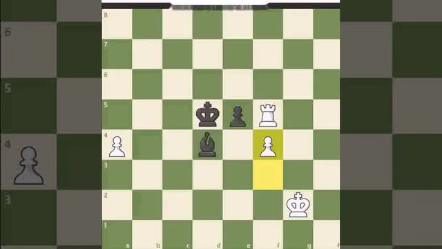 Чего только не бывает в блице! Даже такое! смотреть онлайн