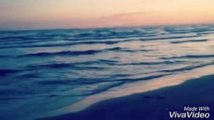 Каспийское море Как играют дельфины?
