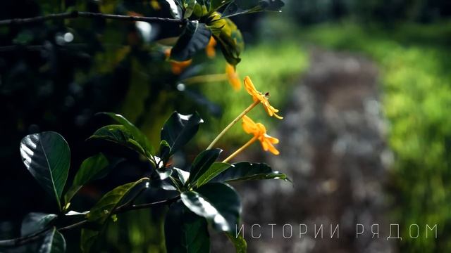 Замарашка беспородная, ты оставишь моего сына, заявила будущая свекровь. Но она еще не знала… смотреть онлайн