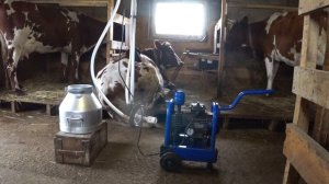 Обзор и отзыв об аппарате "Доюшка мини"