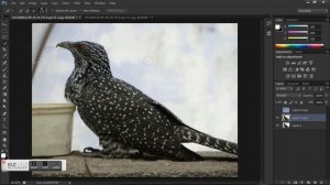 Adobe Photoshop CS6 Masking TUTORIAL