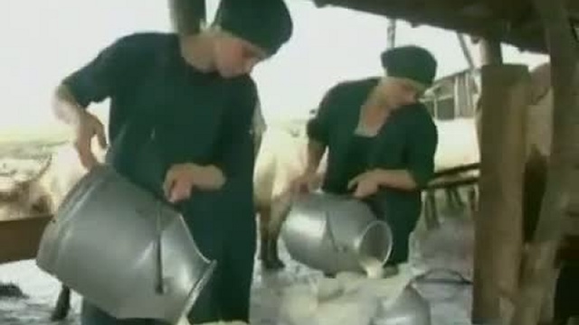 Костромская область