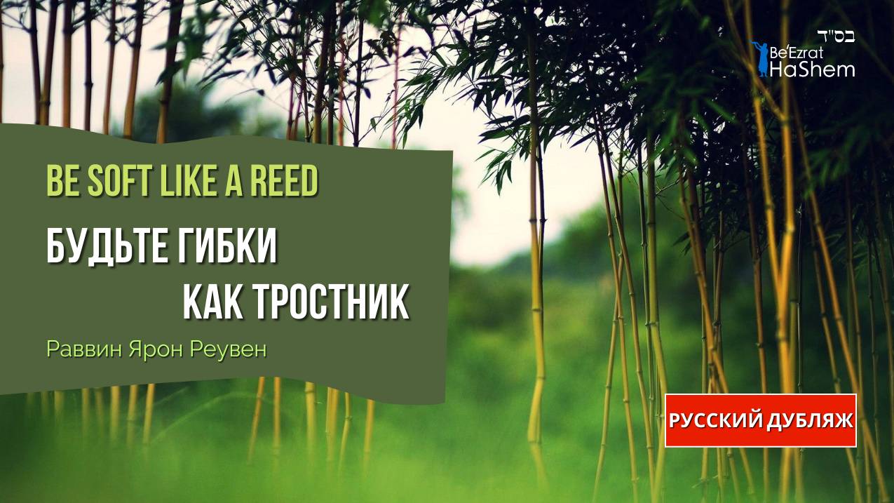 Будьте гибки как тростник | Раввин Ярон Реувен | Русский дубляж