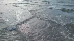 Caspian Sea - square waves / Редкое явление в Каспийском море - "Квадратные волны"  #каспий#квадрат