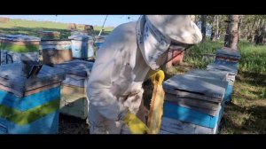 Откачиваем мёд с эспарцета. Вторая качка этого сезона.