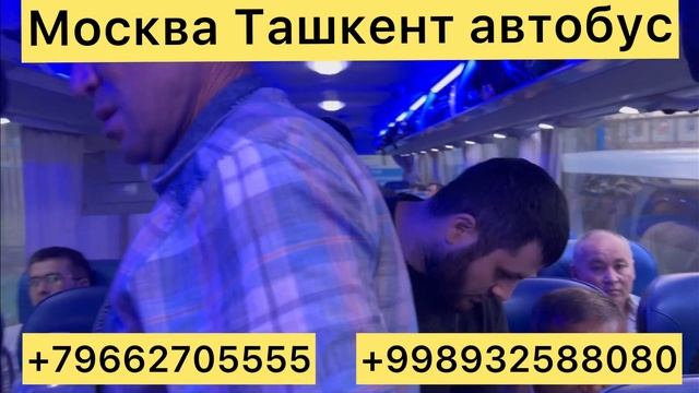 #автобус #москва #ташкент #2023 #москва #ташкент #автобус #узбекистан #россия #автобус