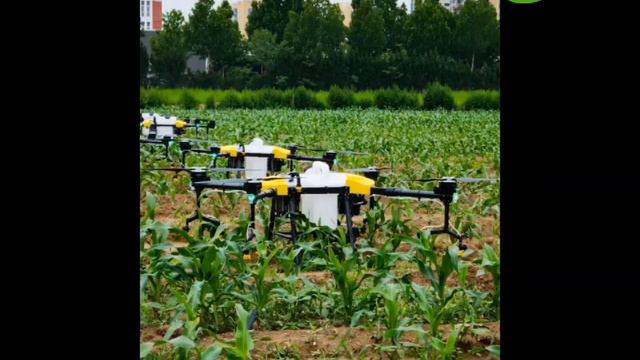 Professional 4axis 6axis agriculture drone spraying pesticides drone with big capacity