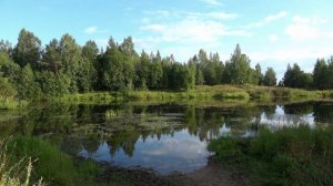 Несколько минут лета...август...   Большево - Остров - Дружноселье...