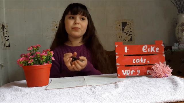 КОГО ЛУЧШЕ ЗАВЕСТИ?/ КОТ ИЛИ ХОМЯК/ПЛЮСЫ И МИНУСЫ СОДЕРЖАНИЯ/ЛЮБЛЮ ПИТОМЦЕВ/