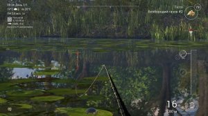 stream общение , рыбалка ) Fishing Planet