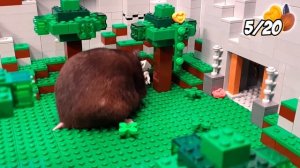 Hungry HAMSTER race in underground POP IT maze LEGO MINECRAFT