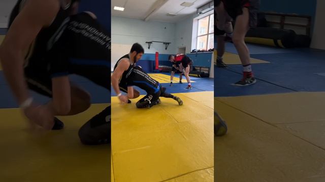 Красота борьбы🤼