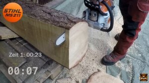 Stihl MS170 vs. Stihl MS211