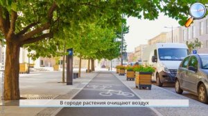 Окружающий мир 3 класс (Урок№1 - Природа и человек. Проектное задание «Богатства, отданные людям»)