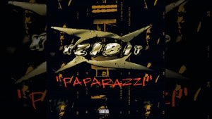 Paparazzi (Instrumental)
