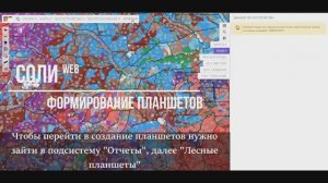 Работа с настройкой и выводом картографических материалов в СОЛИweb