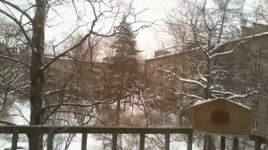 Кормушка для птиц