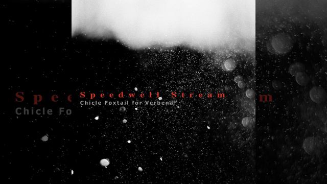 The Dioptase Scapolites смотреть онлайн