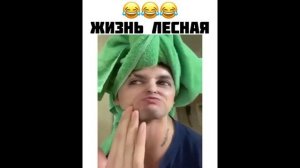 прикольные вайны вейди раша!!!