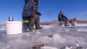 р.Петровка Приморский край ,открытие зимнего сезона по ловле корюшки.30.11.23.