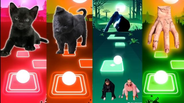 CUTE CAT VS CUTE DOG VS WEDNESDAY VS THING wednesdaydance wednesday addams