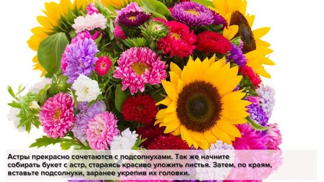 Букет из астр на 1 сентября