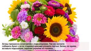 Букет из астр на 1 сентября