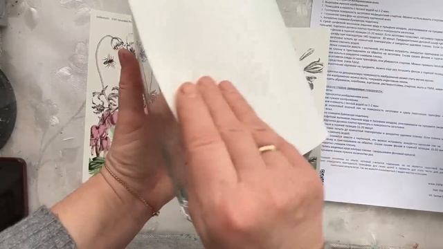 ВСЕ О ТРАНСФЕРНЫХ КАРТИНКАХ