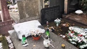 Где похоронена Анна Герман. Как выглядит могила известной певицы. Адрес