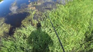 Удочка с боковым кивком Ротан Омская рыбалка