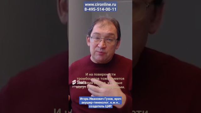 Тромбоциты: что такое тромбоциты и почему возможен конфликт по группам крови тромбоцитов.