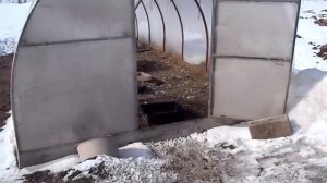 Все про гусей