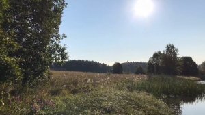 усадьба Лесогорская