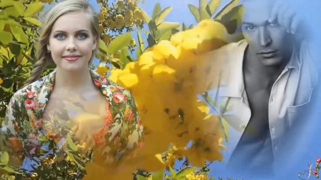 Акация сл. В. Корольков, муз, В. Петрищев, поёт и монтаж А. Киселёва Васильева смотреть онлайн