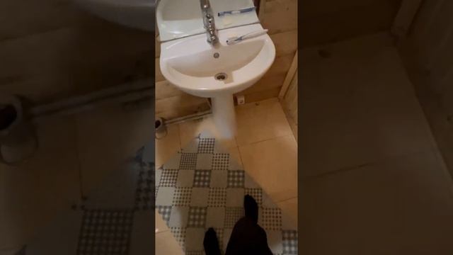 курсед и акума в новом отеле + танцы от акумы #zxcursed #akuma смотреть онлайн