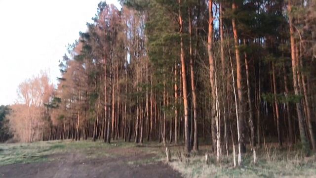 Поездка в Лукоянов Нижегородской области Россия 30.04.2019-03.05.2019 смотреть онлайн