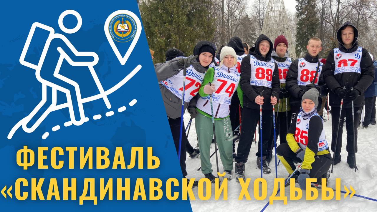 Фестиваль 