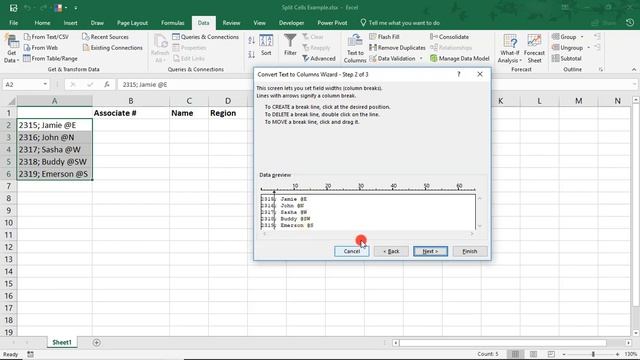 How to Split Cells in Excel with Text to Columns - Excel Tutorial