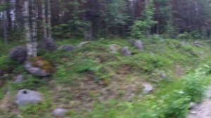 Одиночный пеший поход по Карелии / Сегежа - Надвоицы