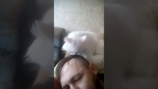 Сын моет голову смотреть онлайн