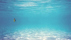 Yellow Submarine - The Beatles (Picture Lyrics)