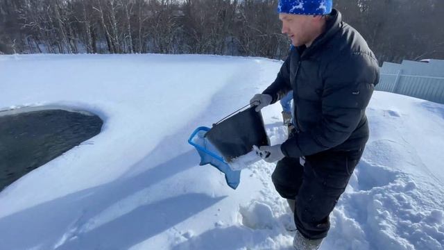 Запускаю в дачный пруд форель. Зарыбление форелью 29.03.2022