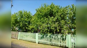 С. Рябово Лухский район Ивановская обл.