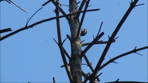 Мокшан. Осень 2019...