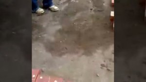 Как строители играют в домино