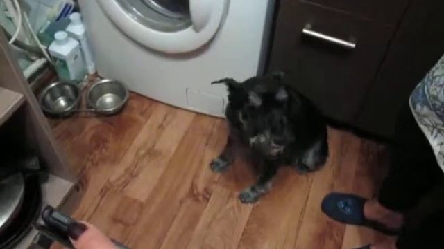 Что за человеческая речь? смотреть онлайн