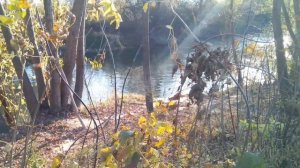 Золотая осень, р. Стырь, г. Луцк, Украина