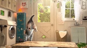 MY LITTLE KITTEN ADVENTURE - SUPER SPECIAL STORY OF A LITTLE KITTEN AND ANIMALS - PET CARE