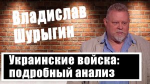 Владислав Шурыгин проанализировал состояние украинской армии
